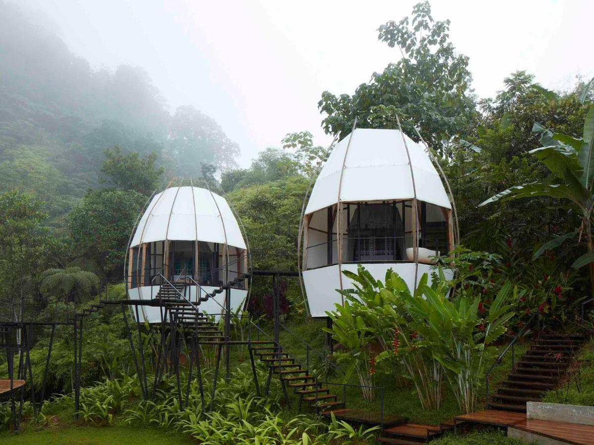 Art Villas Costa Rica, Villas & Glamping Uvita Exteriör bild